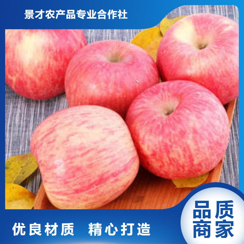红富士苹果苹果
海量现货直销