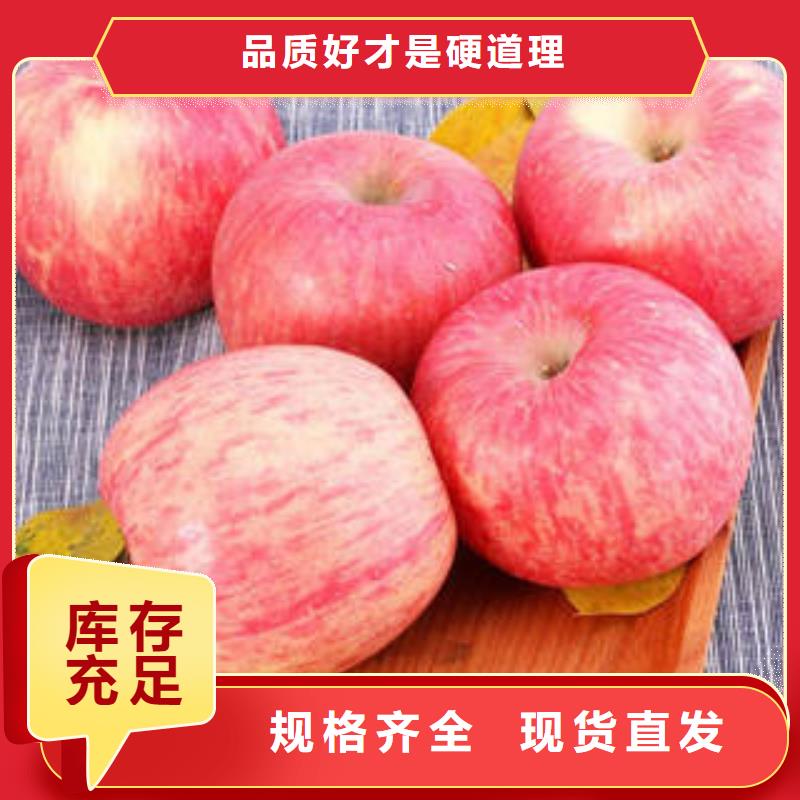 红富士苹果应用范围广泛