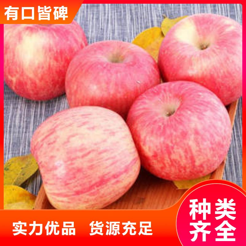 红富士苹果【嘎啦苹果】专注细节专注品质