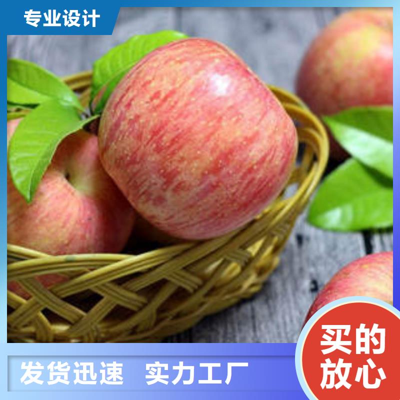 红富士苹果,苹果符合国家标准