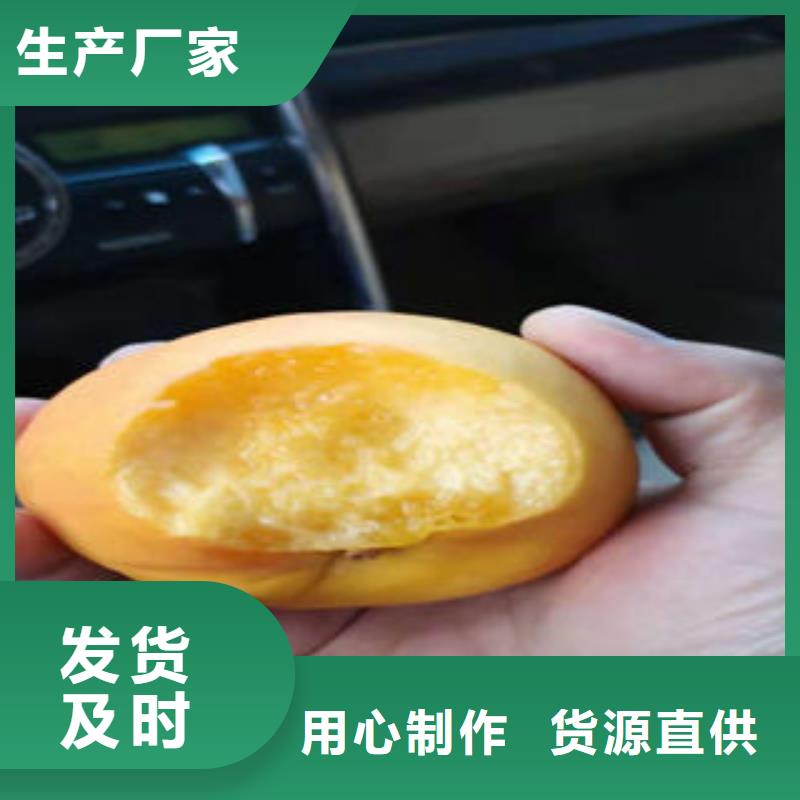 【桃树苗】梨树苗好产品价格低