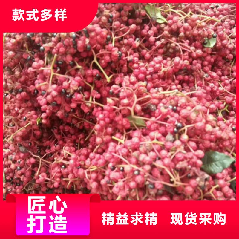 花椒苗梨树苗正品保障