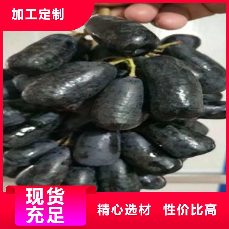 葡萄苗,板栗苗满足客户所需