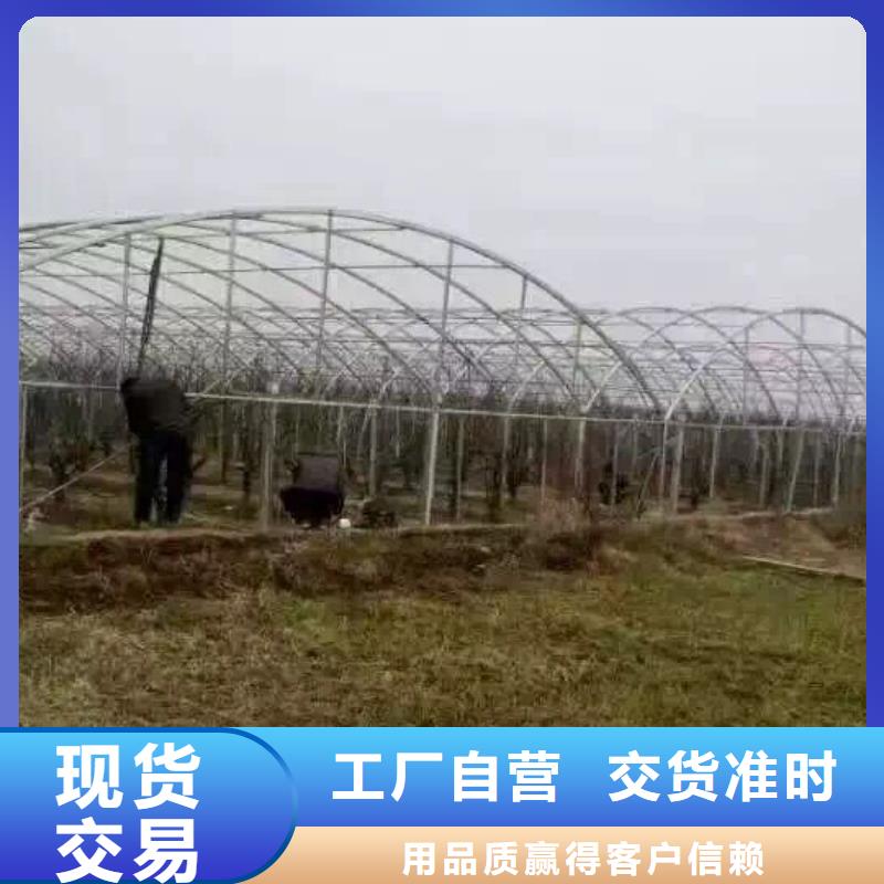 管材热镀锌角钢产品参数