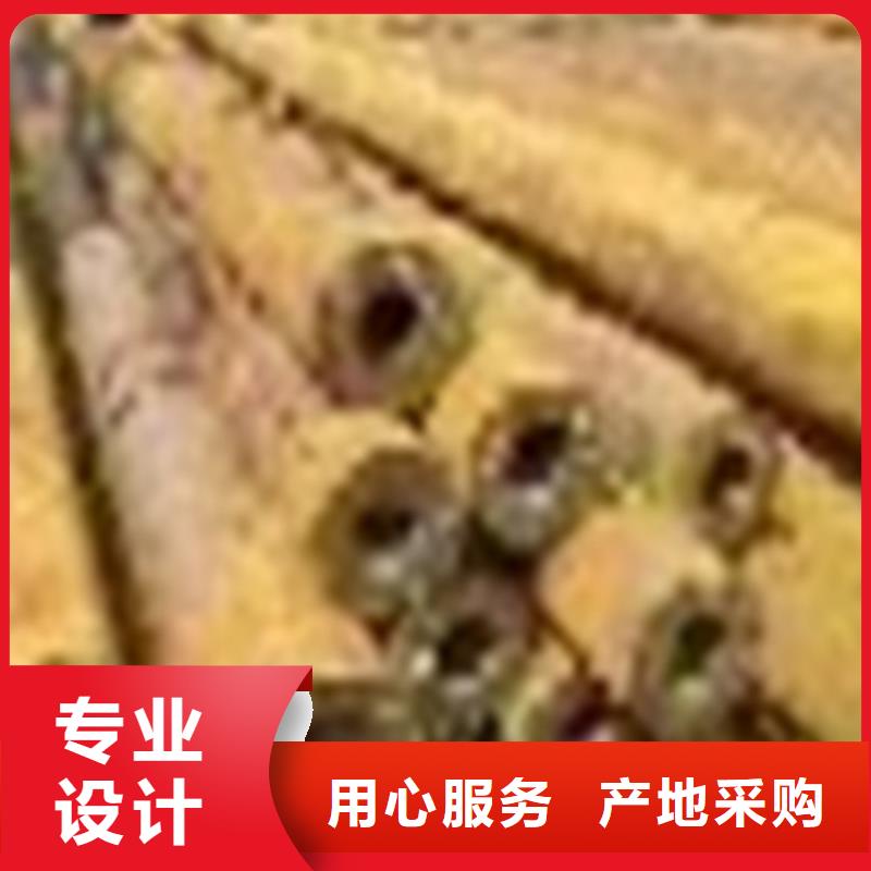 供应镀锌无缝钢管的批发商