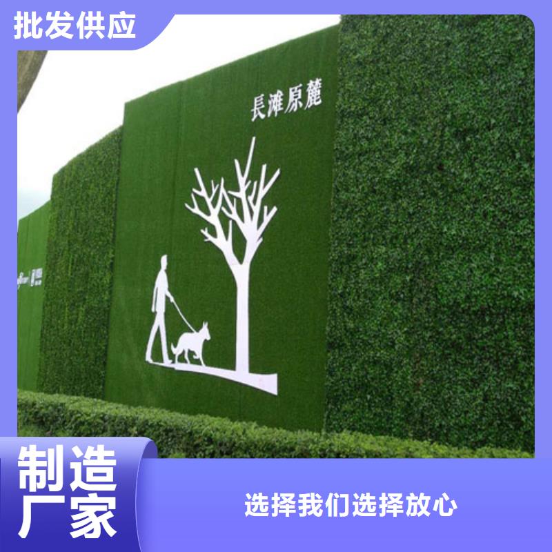 草坪围挡人工草坪围挡大品牌值得信赖