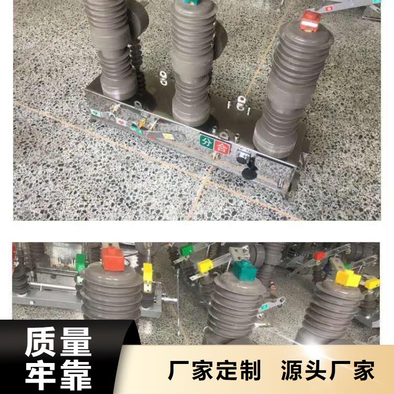 【真空断路器_户外单极隔离开关把实惠留给您】