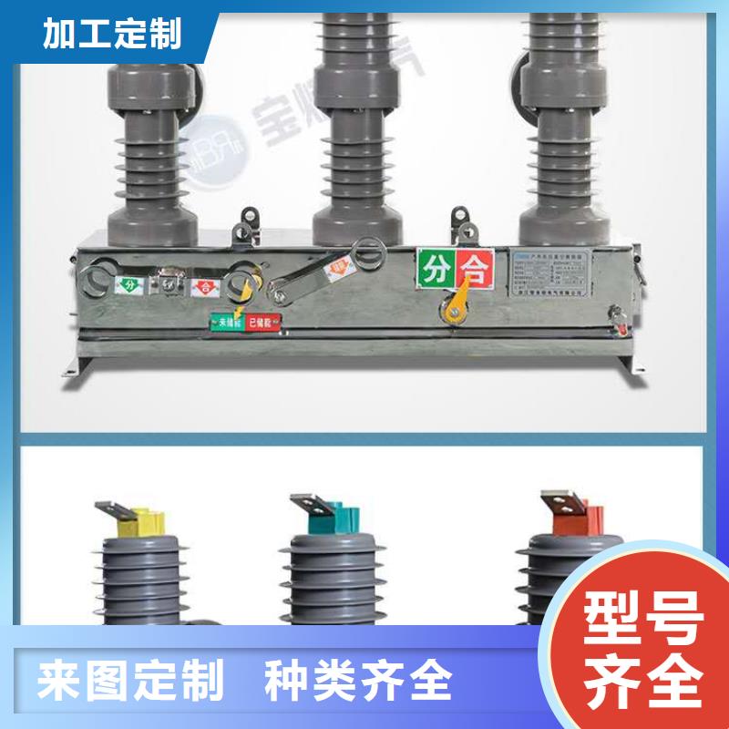 【真空断路器-FKN12-12/630A厂家采购】