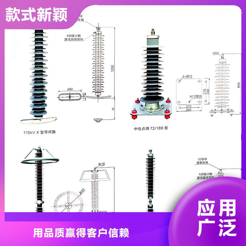 氧化锌避雷器高压限流熔断器厂家直营