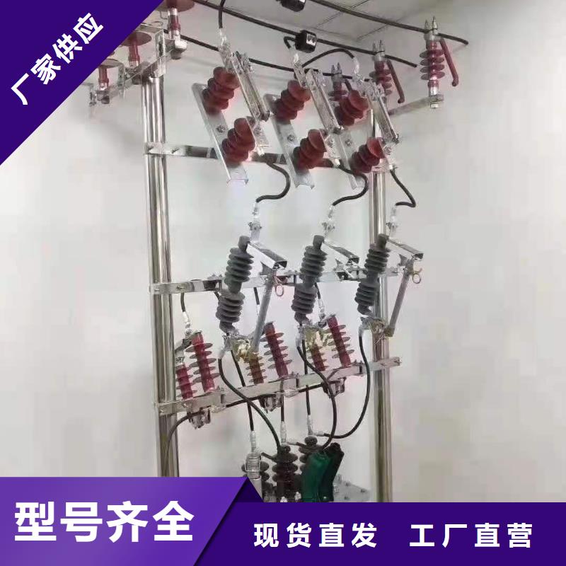 跌落式熔断器户外跌落式避雷器物美价优