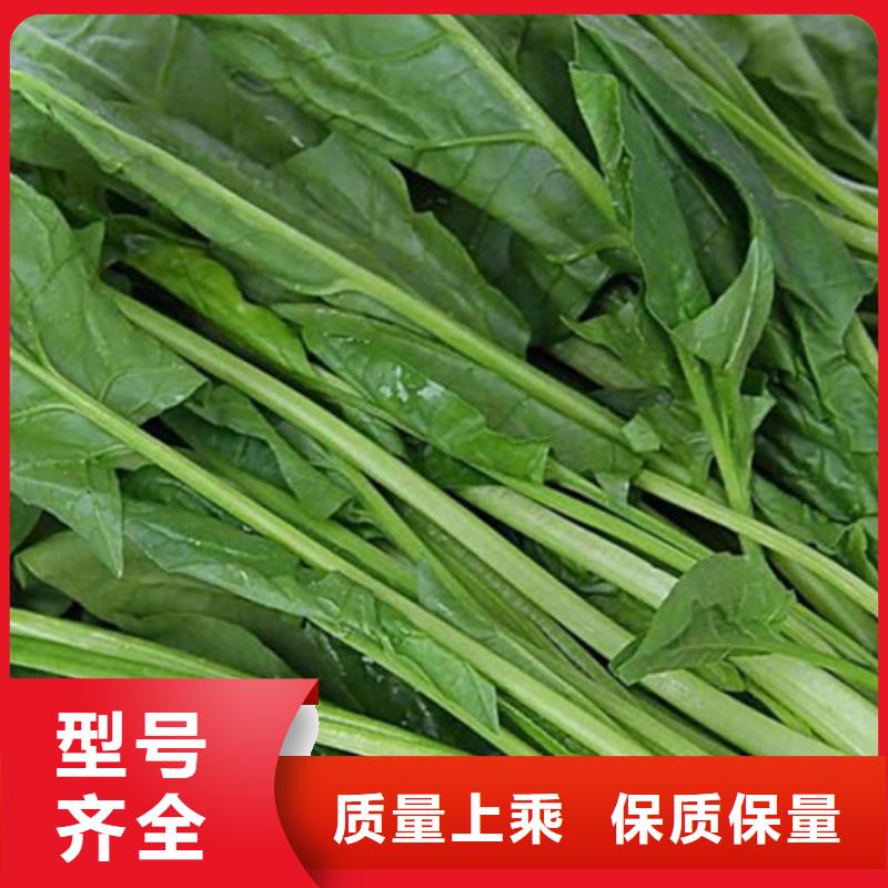 菠菜粉发货及时