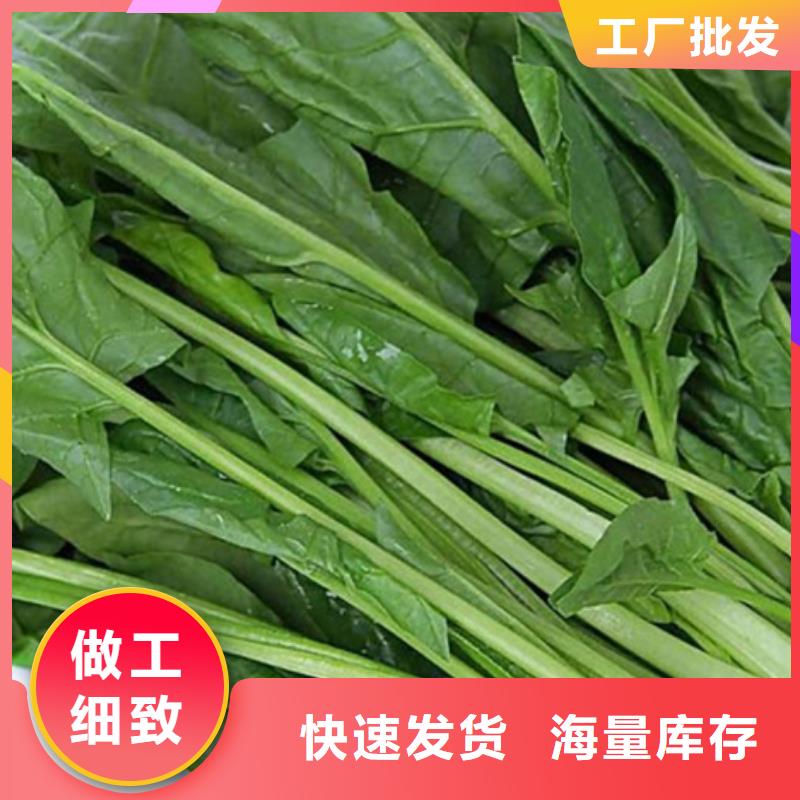 菠菜粉推荐厂家