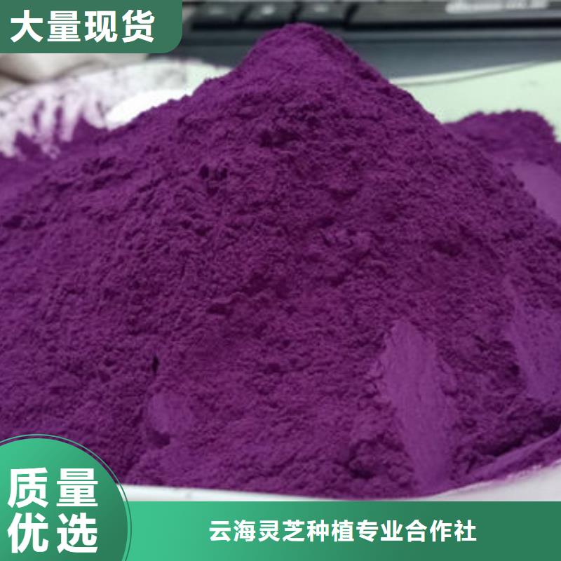 紫薯粉,灵芝孢子粉源厂供货