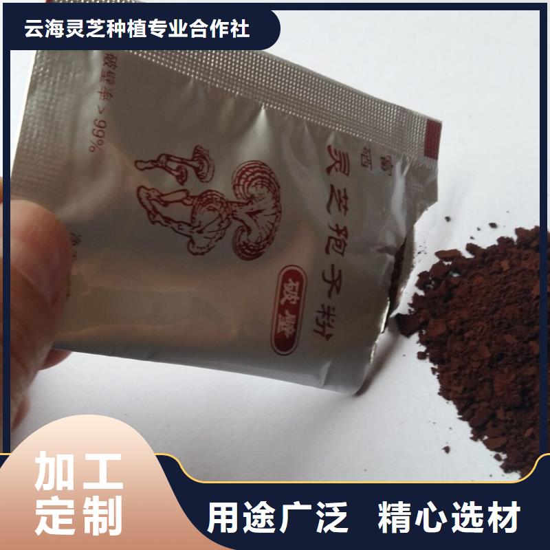 破壁灵芝孢子能满足您的需求