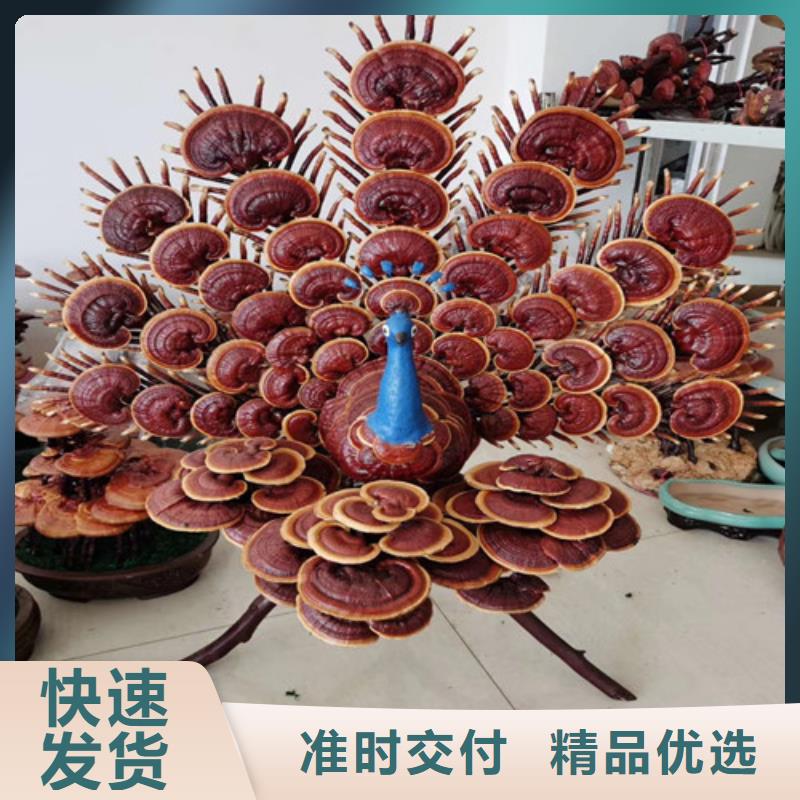 批发
灵芝粉
_品牌厂家