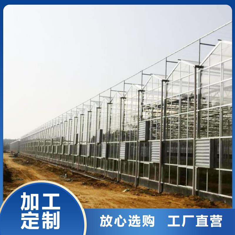 (泽沃)广东省珠海市唐家湾镇连体大棚管生产厂家质量保证2024