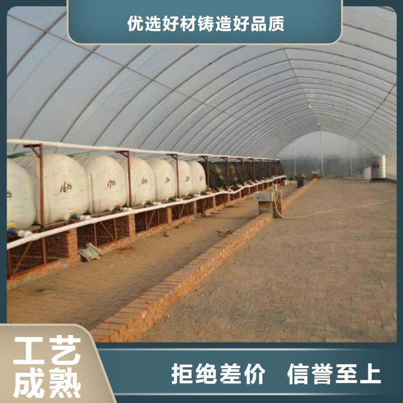 安徽省产品实拍(泽沃)利辛县连体温室大棚钢管销售