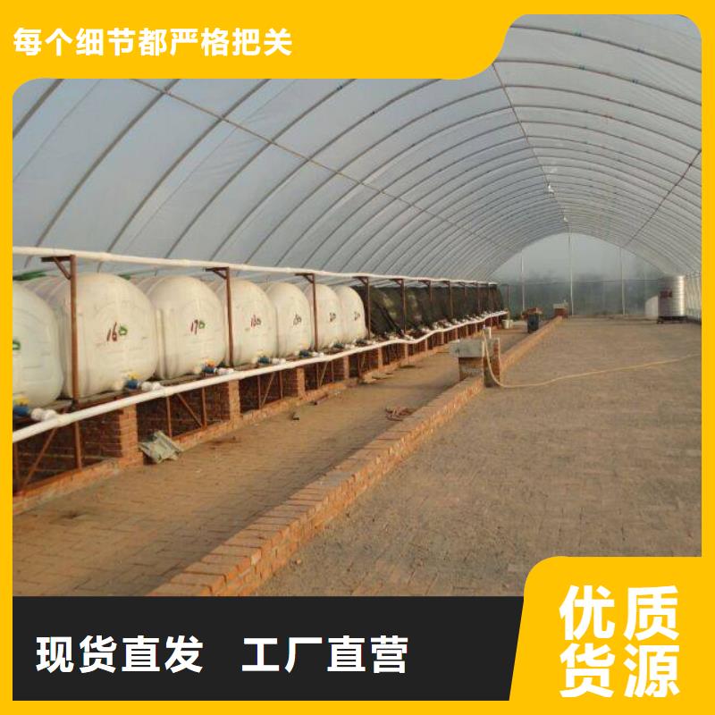 (泽沃)广东省珠海市唐家湾镇连体大棚管生产厂家质量保证2024
