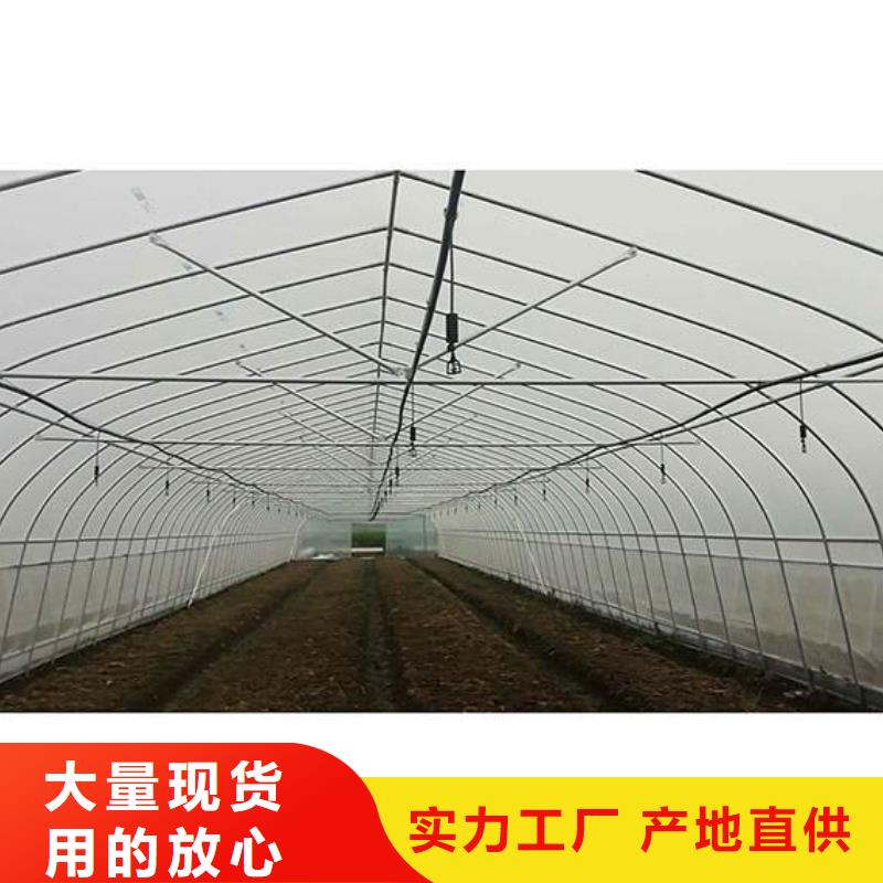 昭阳草莓定尺大棚管在线报价2024