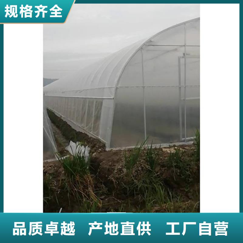 《泽沃》广东省深圳市沙头街道食用菌大棚管值得信赖2024