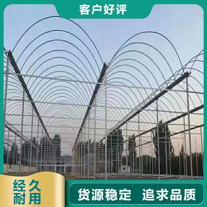 罗源连栋大棚种植推荐厂家2024