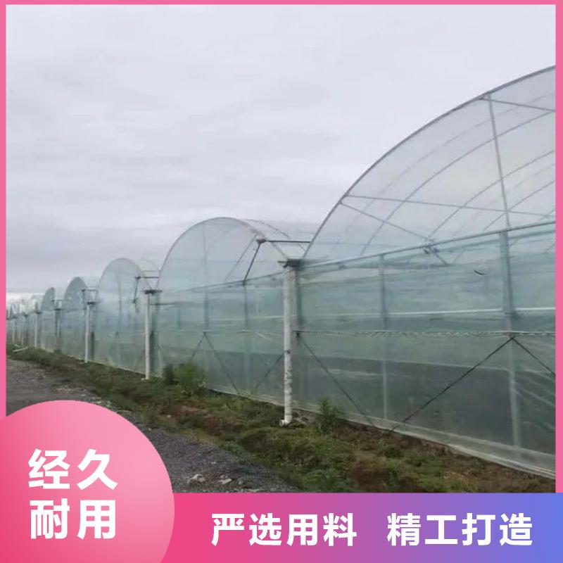 樊城区苗床发货快