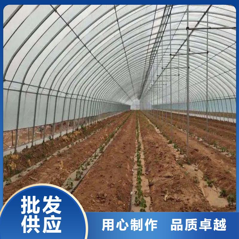 磐安连栋大棚种植批发价格2024