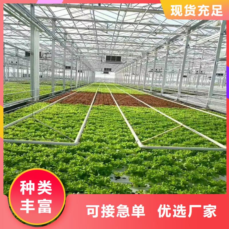 四方种植大棚10年经验