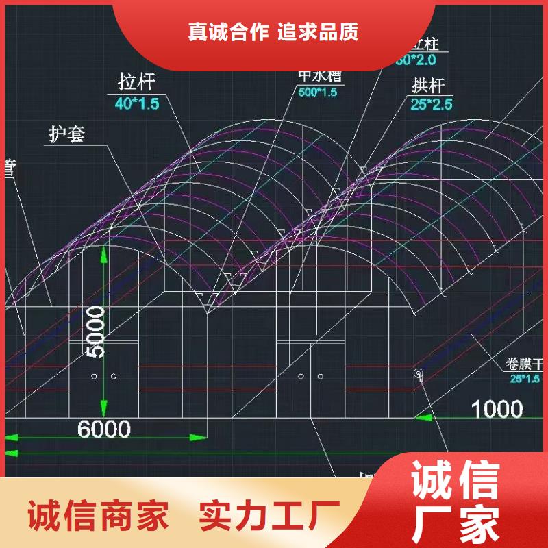 绵竹市连栋大棚配件实力厂家