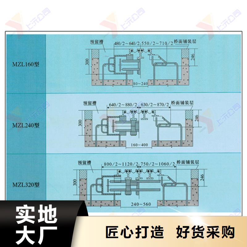 桥梁伸缩缝网架支座今年新款