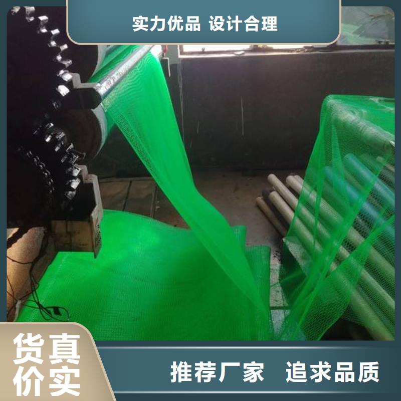 三维植被网【涤纶土工格栅】欢迎来电询价