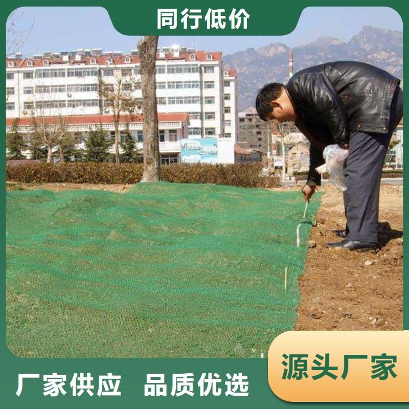 三维植被网【短丝土工布】实力大厂家