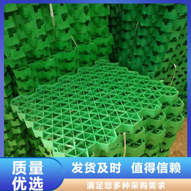 植草格【聚乙烯土工膜】质量三包