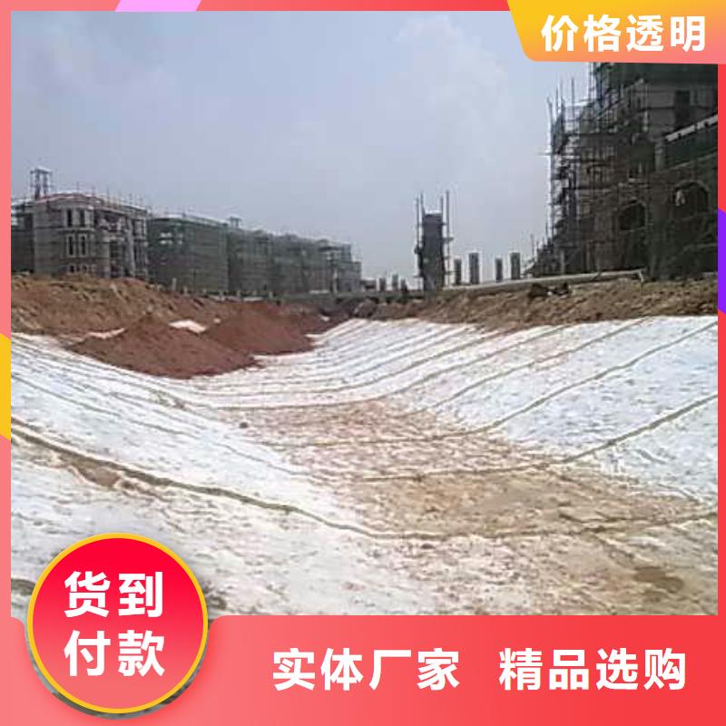 膨润土防水毯玻纤土工格栅支持大批量采购