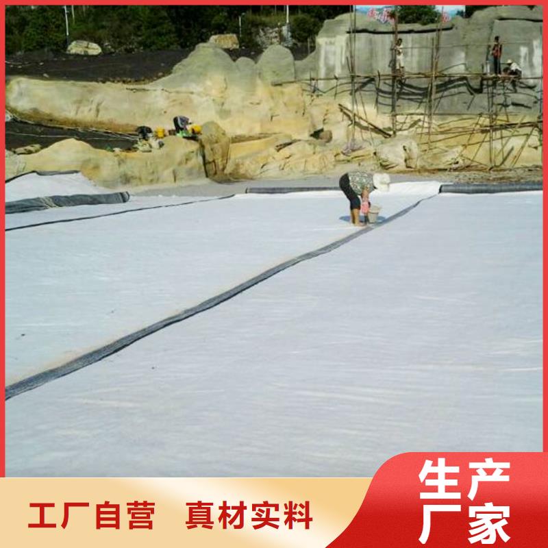 【膨润土防水毯涤纶土工格栅产地工厂】