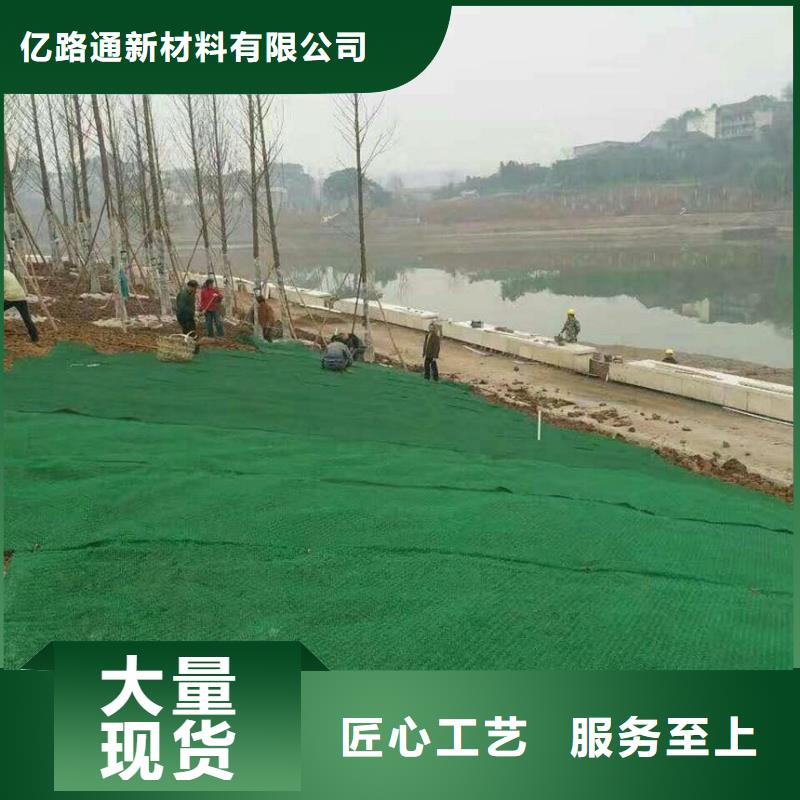 三维植被网塑料土工格栅技术先进