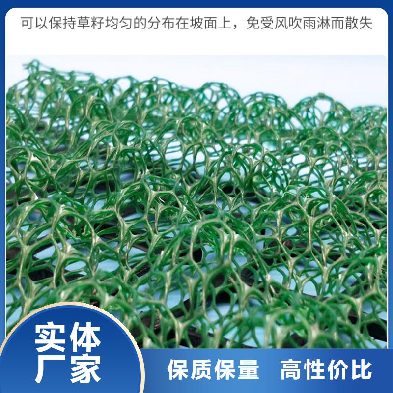 【三维植被网_工程布实体诚信厂家】