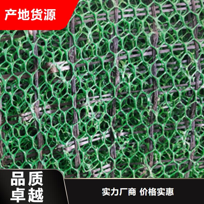 三维植被网玻纤土工格栅高品质诚信厂家