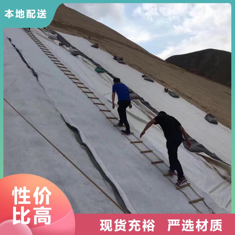 【三维复合排水网】塑料土工格栅大厂家实力看得见