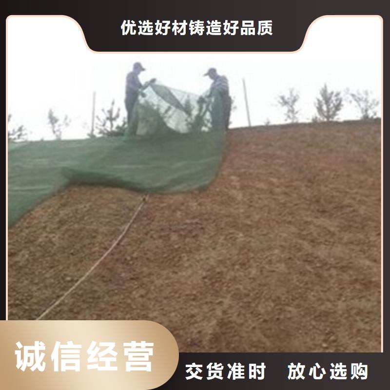 三维植被网土工HDPE膜质量层层把关