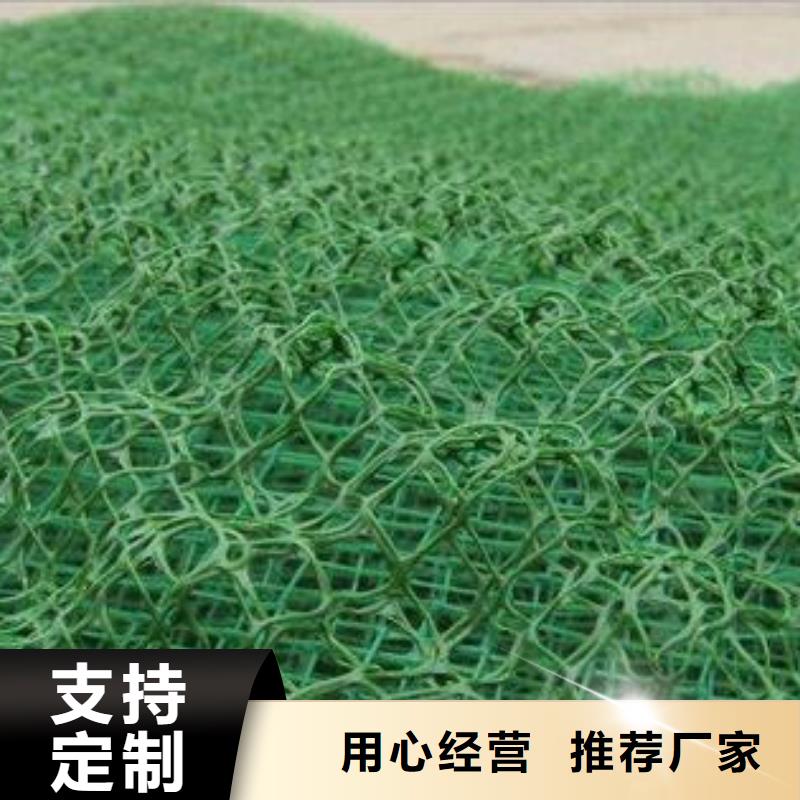 三维植被网-土工格室一站式采购