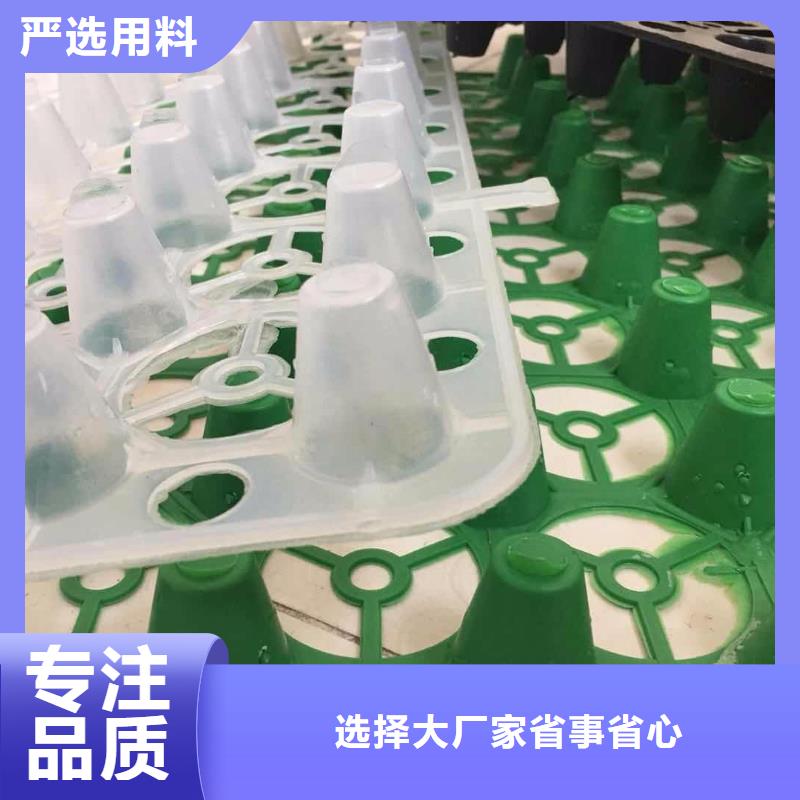 塑料排水板土工布批发质量牢靠