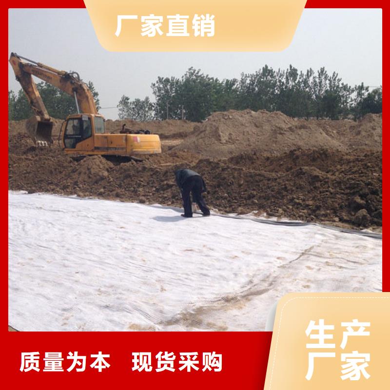 防水毯凸结点钢塑土工格栅加工定制