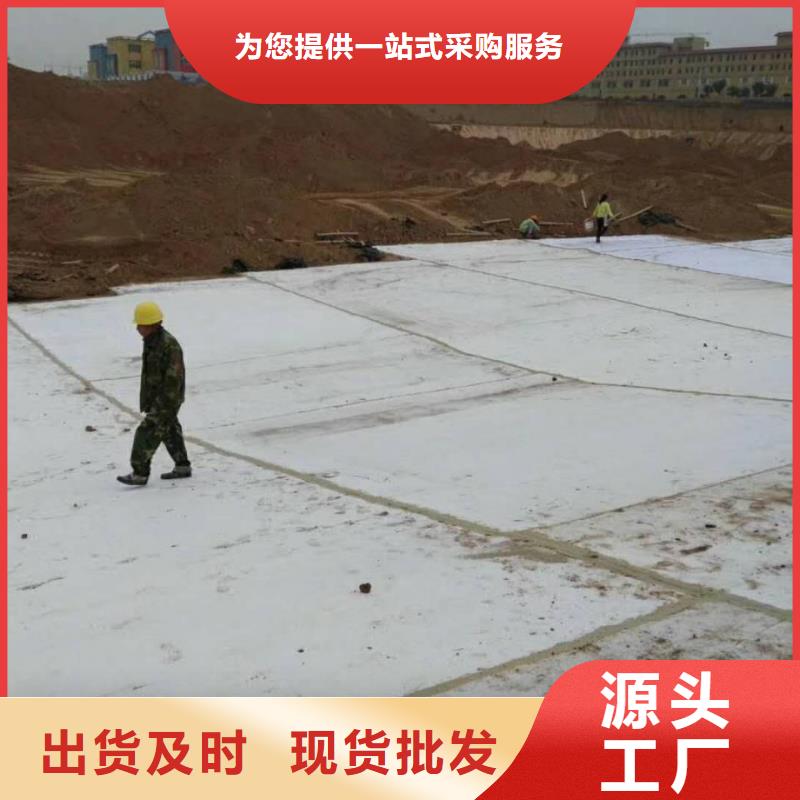 防水毯【涤纶土工格栅】现货直供