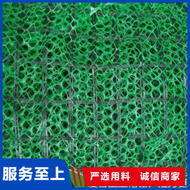 三维植被网钢塑土工格栅厂家质量无忧