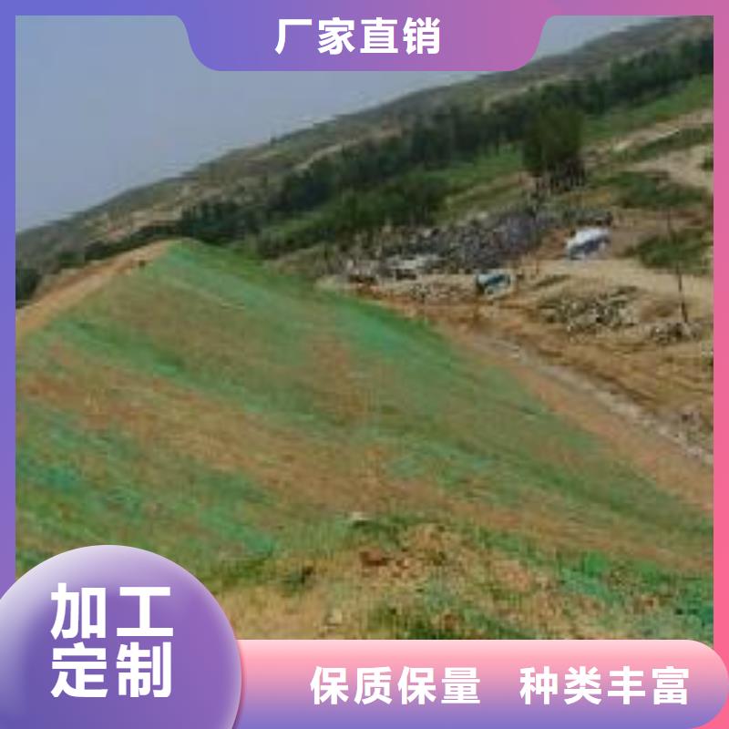 三维植被网,软式透水管市场报价