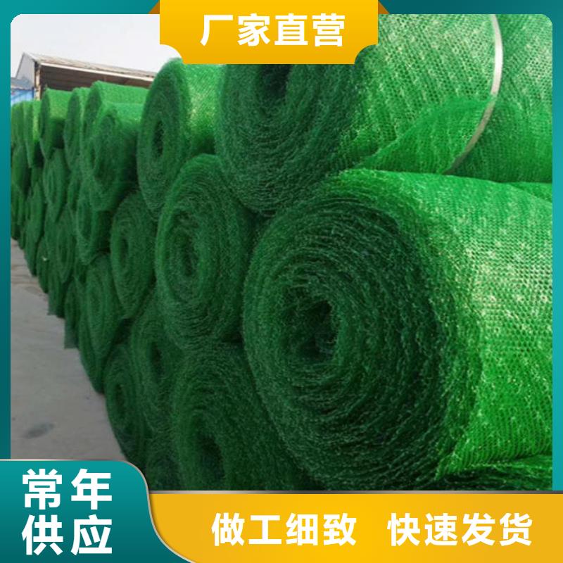 本地[亿路通]三维植被网三维水土保护毯经销商