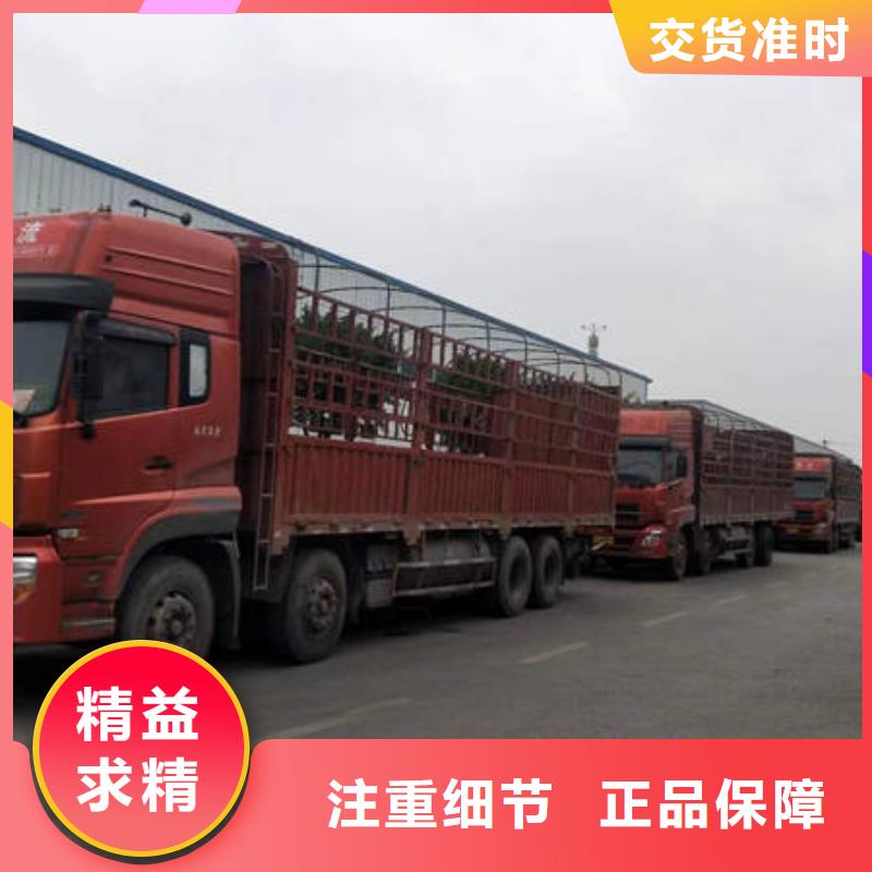 成都到重庆回头货车整车运输公司 特快直达-发货优惠