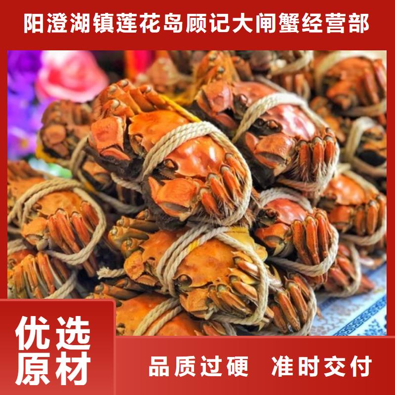 红膏大闸蟹价格多少钱一斤