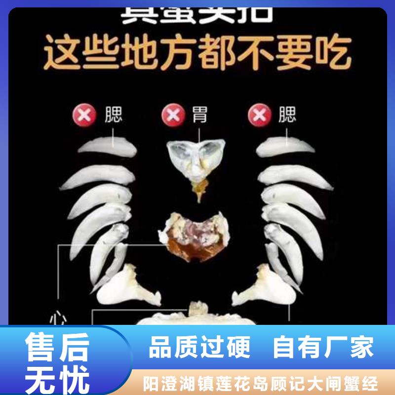 阳澄湖大闸蟹品牌厂家价格优惠